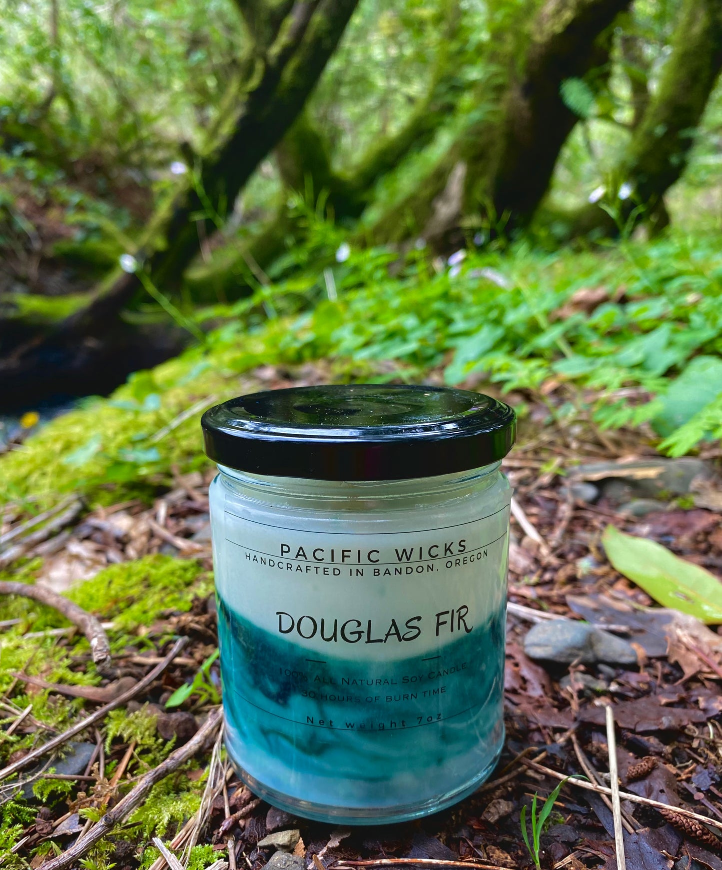 Douglas Fir Soy Candle